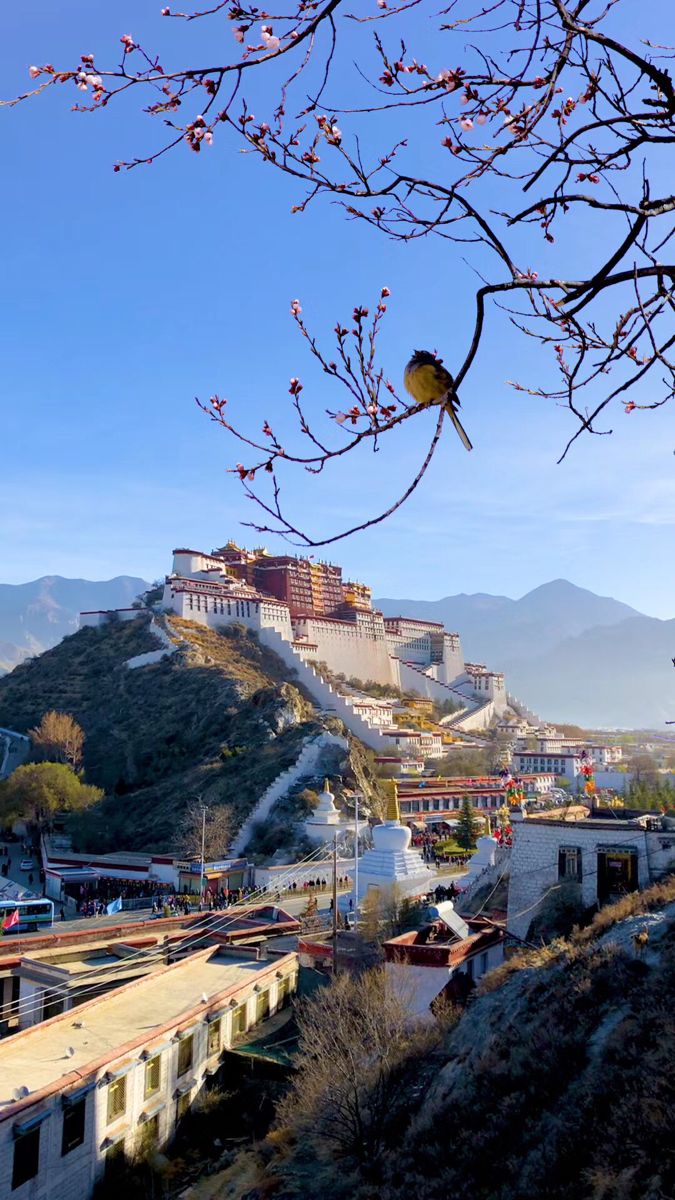 Tibet Tour